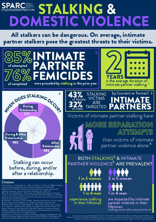 Stalking DV Infographic